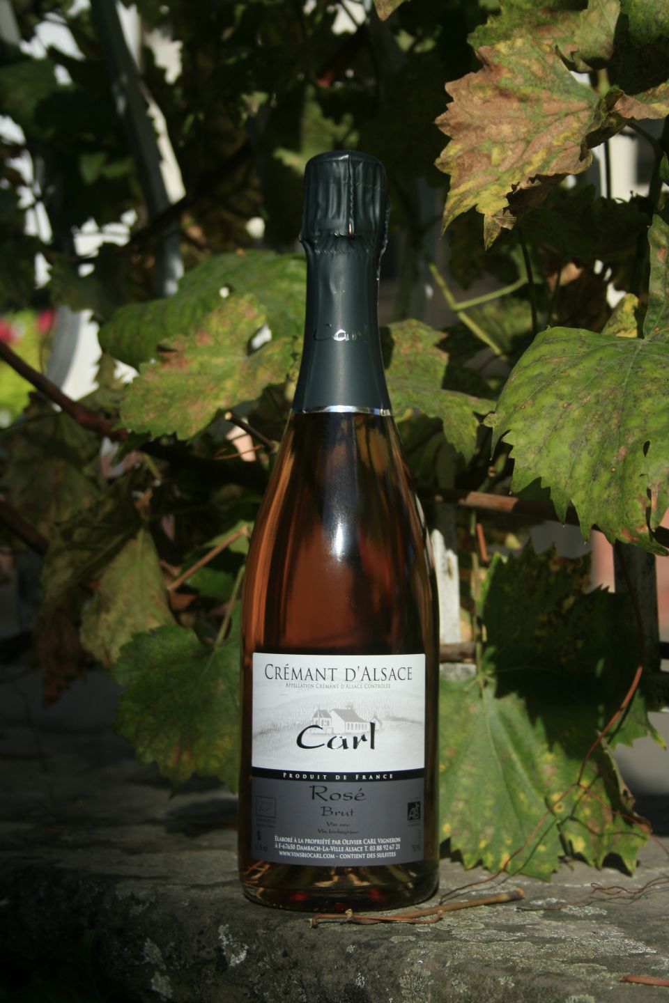 Crémant d'Alsace
Rosé