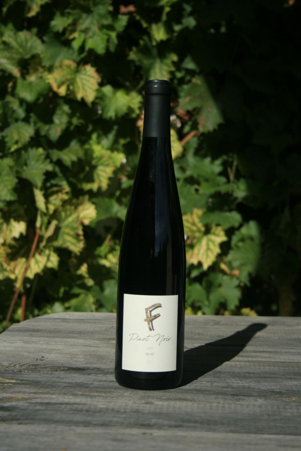 Pinot Noir "F"
Pinot Noir élevé en barrique
