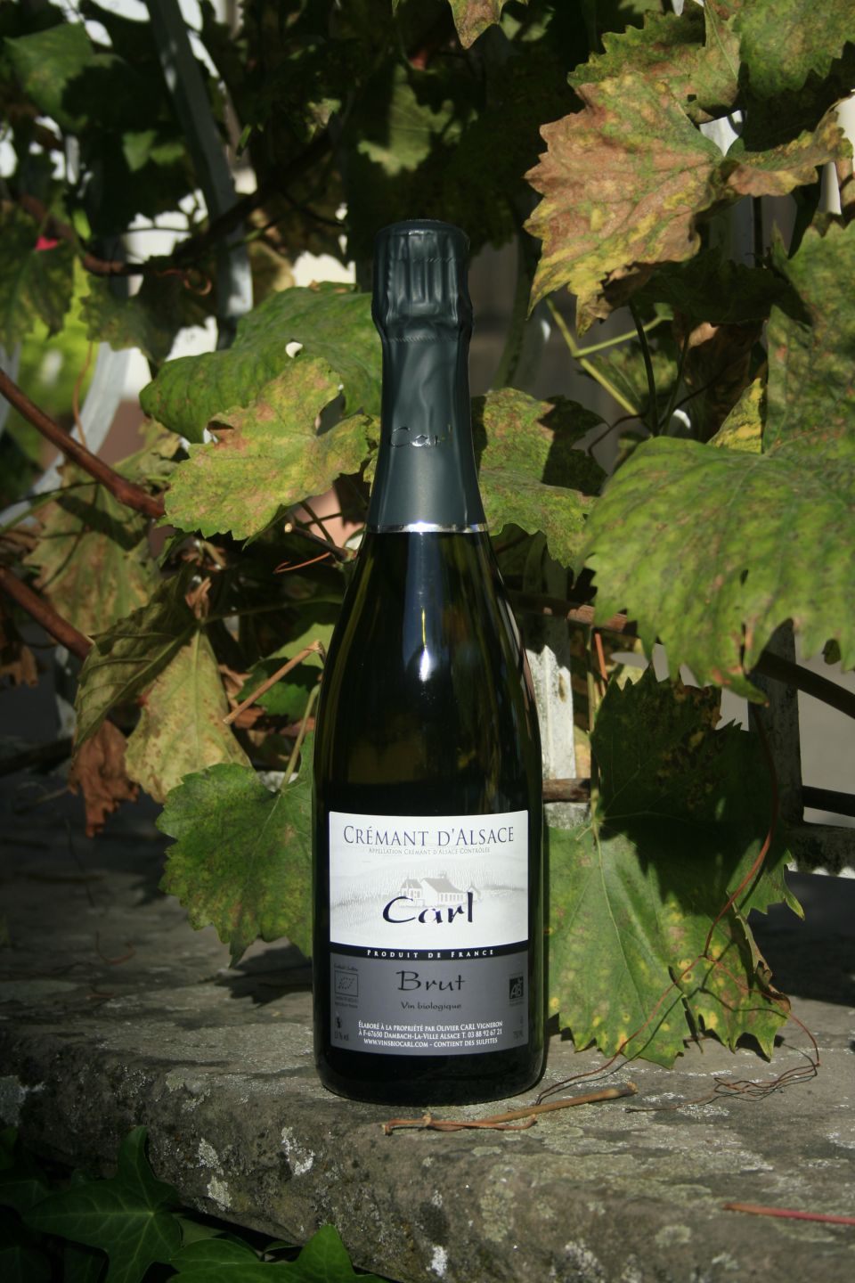 Crémant d'Alsace 
Brut