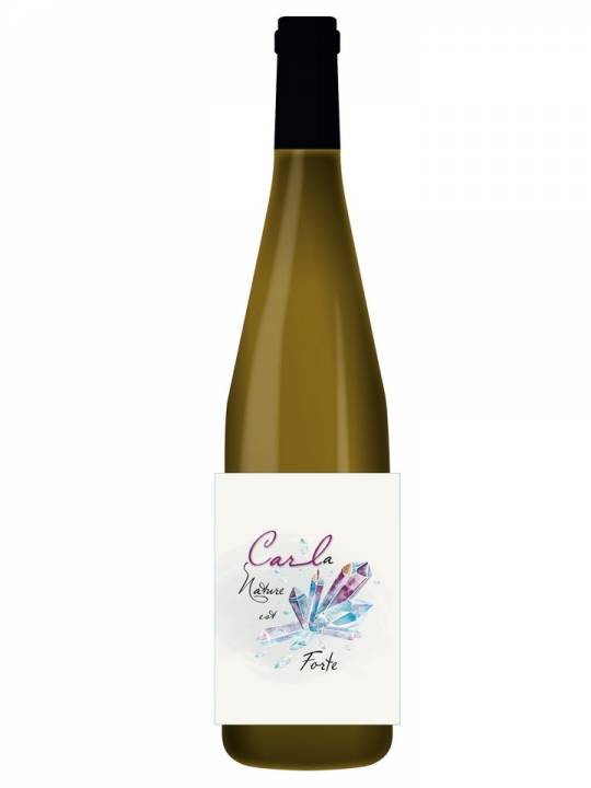 Sylvaner 
"Car la Nature est Forte"
