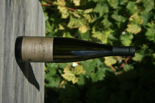 Riesling
Vieilles Vignes
