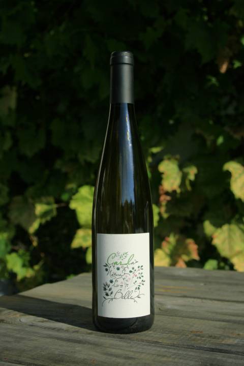 Car La Nature est Belle
Riesling