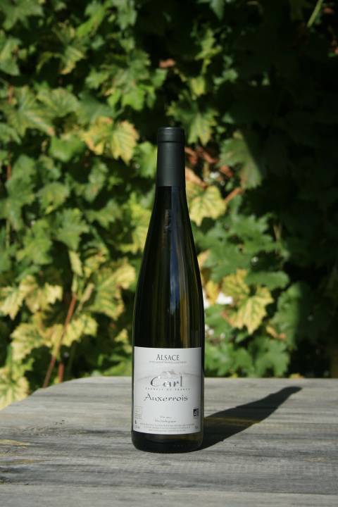 Auxerrois