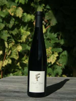 Pinot Noir "F"
Pinot Noir élevé en barrique