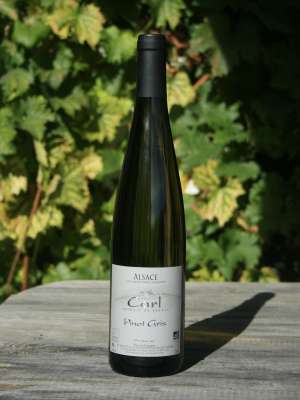 Pinot
Gris