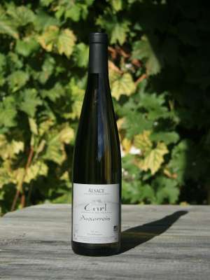 Auxerrois
Tradition
