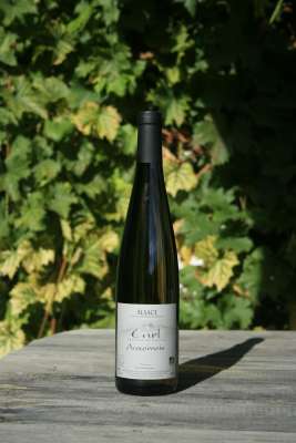 Auxerrois