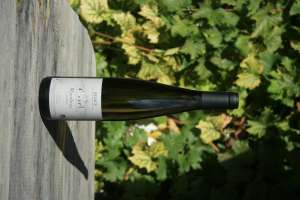Riesling
Tradition