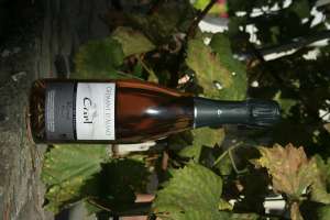 Crémant d'Alsace
Rosé