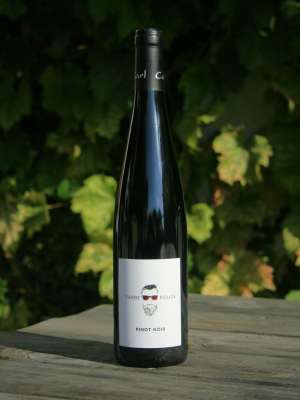 Barbe Rouge
Pinot Noir