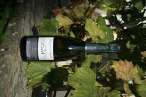 Crémant d'Alsace 
Brut