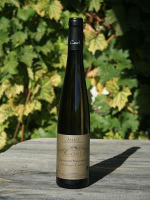 Gewurztraminer
Expression