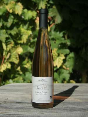 Rose des Sables
Pinot noir rosé