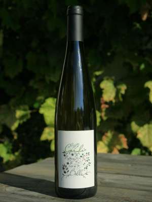 Car La Nature est Belle
Riesling