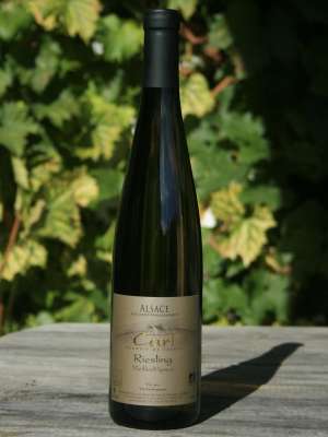 Riesling
Vieilles Vignes