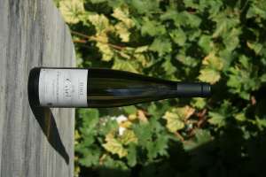 Gewurztraminer
Expression