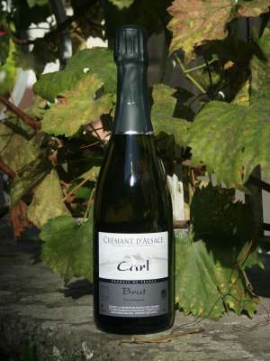 Crémant d'Alsace 
Brut