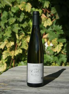 Riesling
Tradition